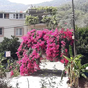 Rose Sarigerme